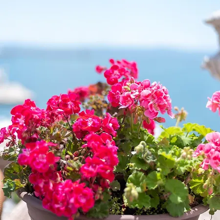 Riva Luxury Apartment Split